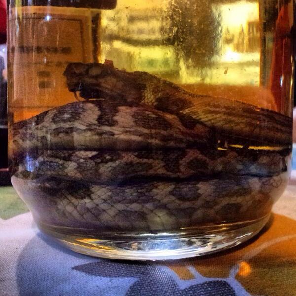 Habushu, distillato con serpente